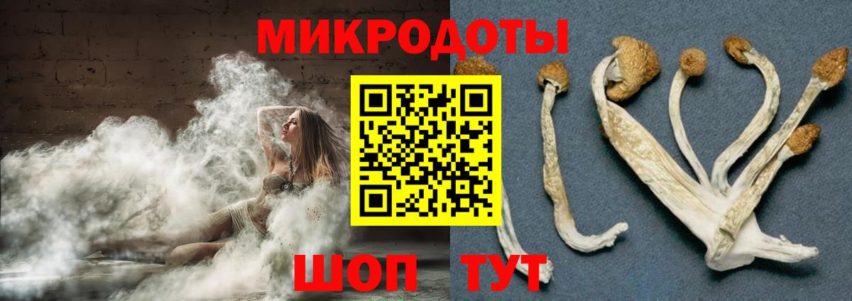 Галлюциногенные грибы Psilocybine cubensis Гагарин